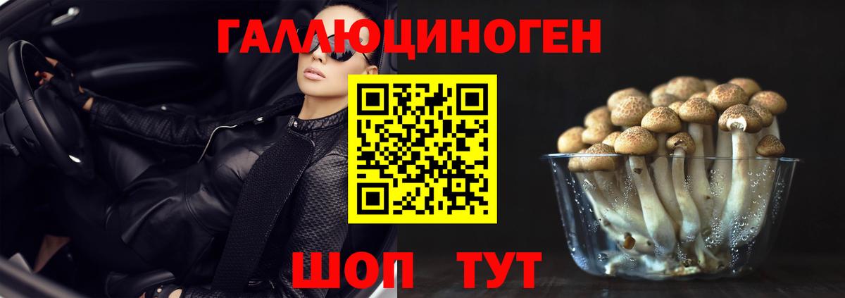 Галлюциногенные грибы GOLDEN TEACHER  Вход с VPN  Артём 